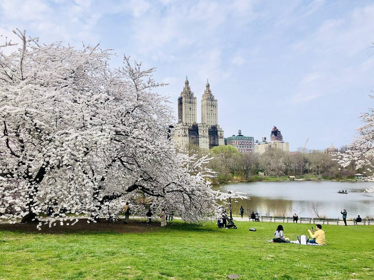 Var i Central Park